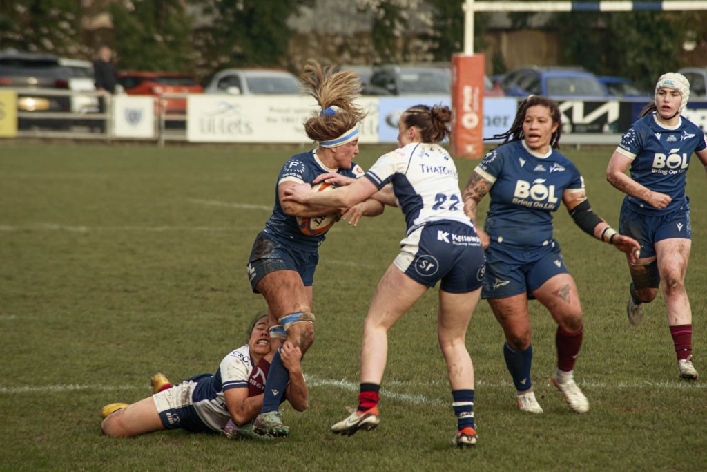 A rugby match in action, featuring players in blue and white uniforms contending for the ball on a grassy field.